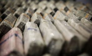 Autoridade Marítima Nacional já apreendeu mais de 20 toneladas de droga em 2023
