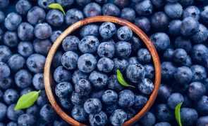 Mirtilos: 10 motivos para começar a comer já hoje