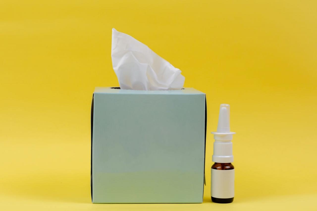 11 dicas para não sofrer com as alergias na primavera