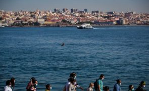 Frente Cívica denuncia compra da Transtejo de navios à Procuradoria Europeia