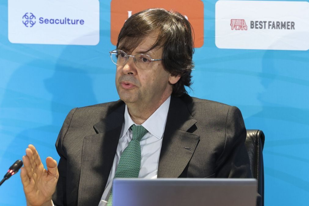 Jerónimo Martins investe 1.000 ME no Pingo Doce nos próximos 3 anos