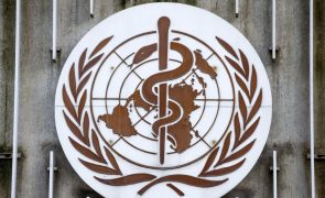 Menos tuberculose em África mas metas para acabar com as mortes estão em risco