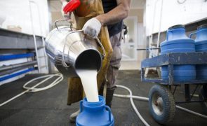 Leite doado por Portugal distribuído por concelhos cabo-verdianos em crise alimentar