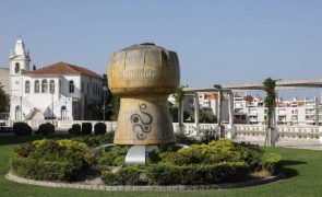 Mais de 10 mil garrafas de espumante falsificado apreendidas na Bairrada