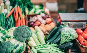 Conheça a lista de alimentos com IVA a zero por cento