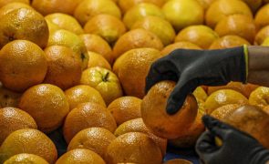 IVA a zero por cento? Preço da laranja vai aumentar