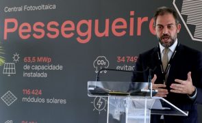 Ministro do Ambiente diz que intenções de investimento em energias renováveis ascendem a 60.000 ME