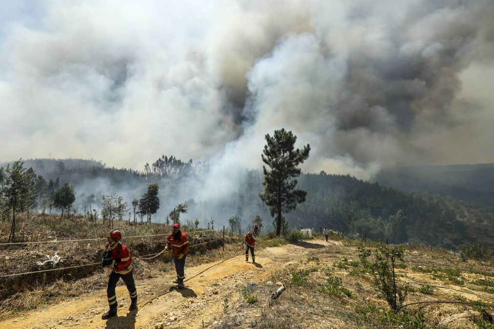 Incêndios: Três concelhos do distrito de Faro em risco muito elevado