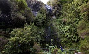 Madeira com mês de março mais quente de sempre e precipitação 