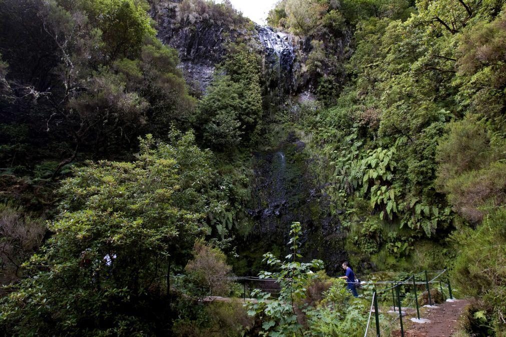 Madeira com mês de março mais quente de sempre e precipitação