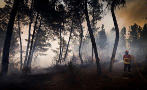 Vários concelhos em perigo máximo de incêndio