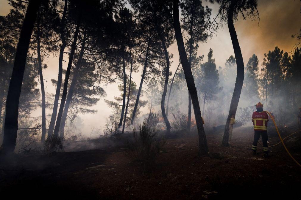 Vários concelhos em perigo máximo de incêndio