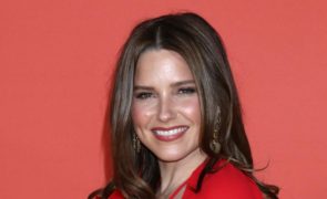 Sophia Bush e o encontro com fã que terminou em pancadaria