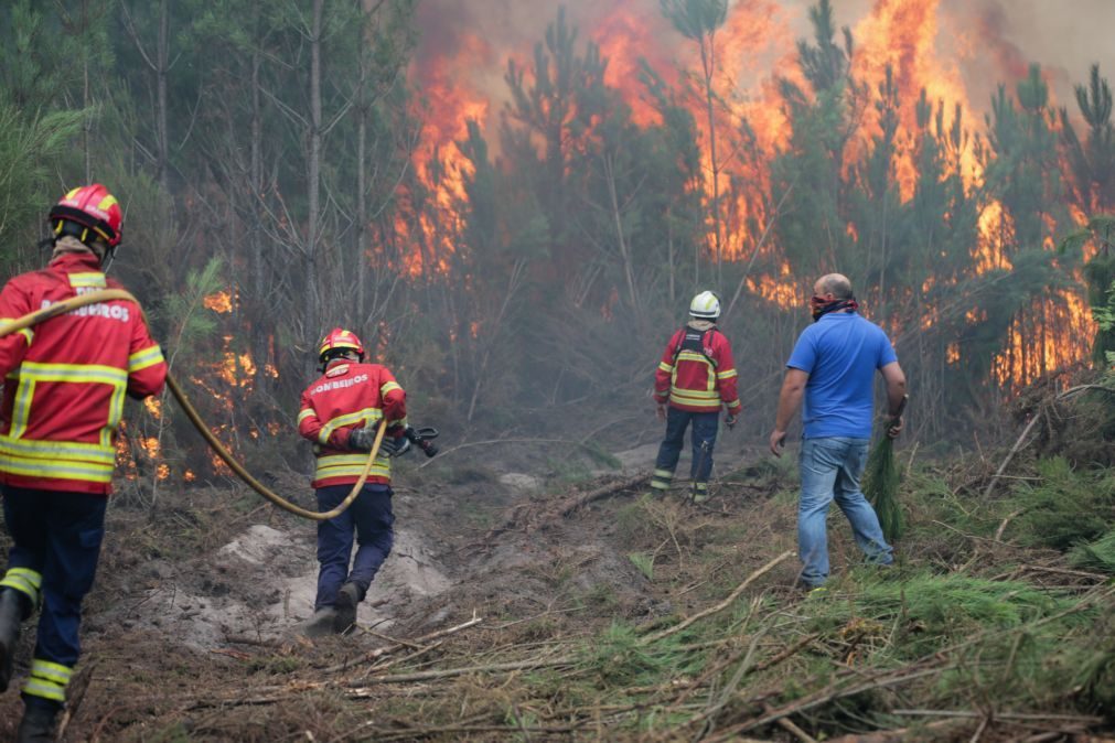 Criado programa de investigação para prevenção e combate aos incêndios