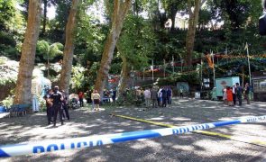 Julgamento de caso da queda da árvore no Monte começa hoje no Funchal