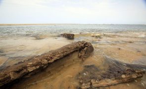 ONU e União Europeia preocupados com o aumento da pirataria marítima no Golfo da Guiné