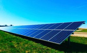 Crescimento da energia solar e eólica suficientes para corresponder à procura