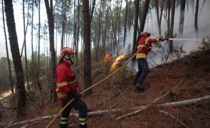Incêndio no concelho da Covilhã entrou em fase de resolução