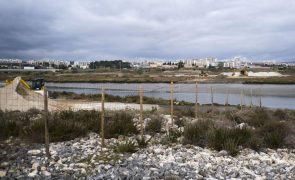 Organização da JMJ descarta instalação de ponte militar no rio Trancão