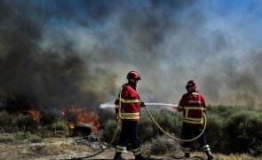 Proteção Civil alerta para risco muito elevado de incêndio no Norte, Centro e Algarve