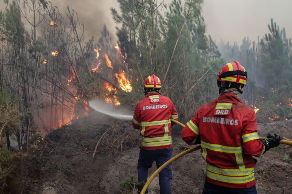 Idosa morre carbonizada em incêndio em Peso da Régua