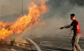Seis concelhos do distrito de Faro em perigo máximo de incêndio