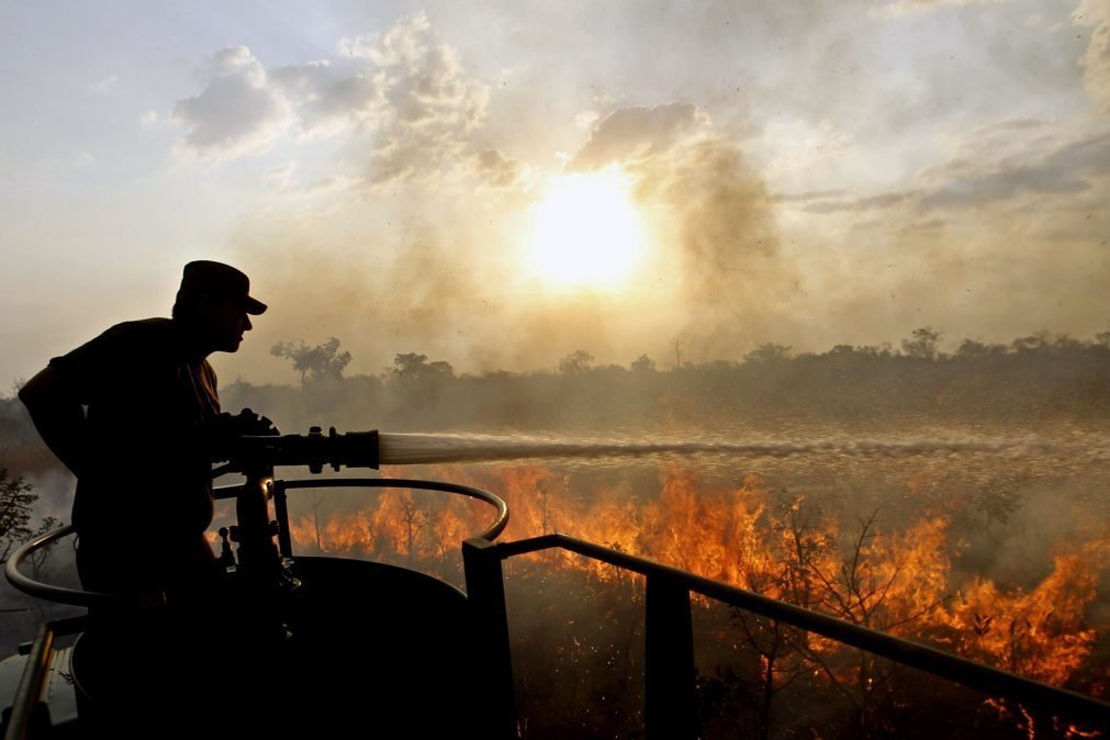Tribos de índios do Brasil ameaçadas por incêndios florestais na Amazónia