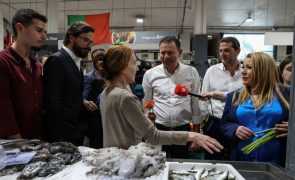 Montenegro diz que IVA zero tem efeito inexistente ou simbólico e preferia descida do IRS