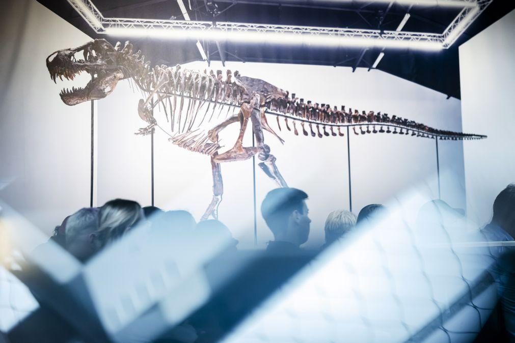 Esqueleto de um T-rex vendido por quase cinco milhões de euros