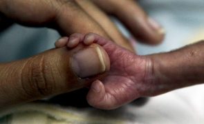 Portugal com taxa de fertilidade insuficiente para substituição de gerações -- Nações Unidas