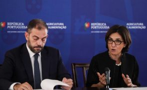 Seca extrema e severa no sul leva Governo a manter e tomar novas medidas