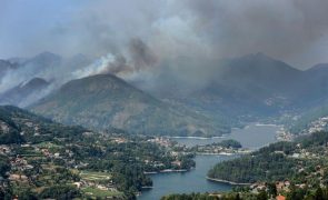 Incêndios: Proprietários pedem mais tempo para limpar terrenos