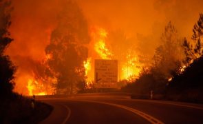 Grandes fogos como o de Pedrógão podem acontecer 
