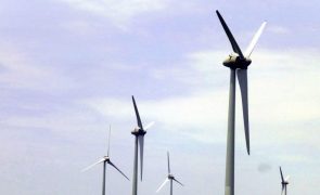 Tecnologia do hidrogénio verde é já 