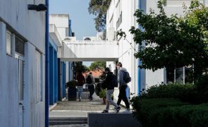 Professores admitem em abaixo-assinado desobedecer a serviços mínimos na próxima semana