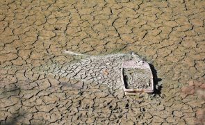 Algarve deve refletir sobre atividades que pode ter com menos água