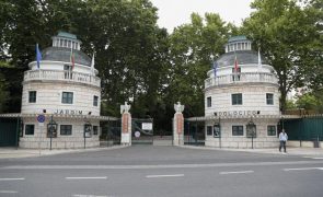 Zoo de Lisboa alerta para burla em seu nome no Facebook para roubar dinheiro