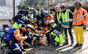 Turquia/Sismo: Equipa portuguesa de resgate condecorada por Erdogan