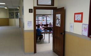 Diretores consideram que fraca adesão às greves torna serviços mínimos desnecessários