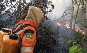 Fogo destruiu 19% da floresta na Amazónia brasileira entre 1985 e 2022