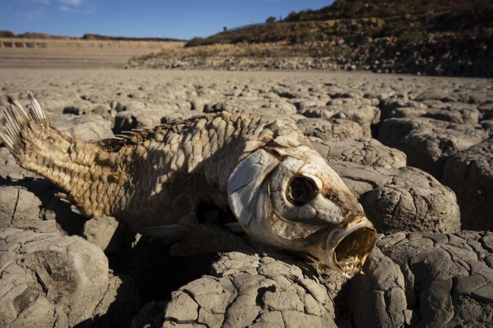 Mudanças climáticas agravaram seca extrema no Corno de África -- relatório