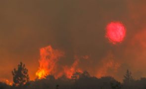 Estados Unidos e Portugal assinam acordo sobre prevenção e combate a incêndios