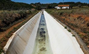 Seca: Regantes servidos pela Bravura procuram alternativas para contornar cenário complicado