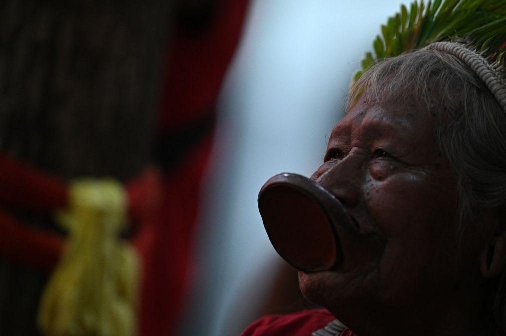 Indígenas brasileiros aplaudem demarcação de terras mas pedem mais para bem do planeta