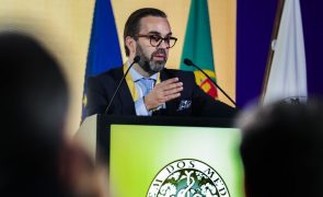 Ordem dos Médicos exige grupo de trabalho da DGS para analisar mortalidade infantil