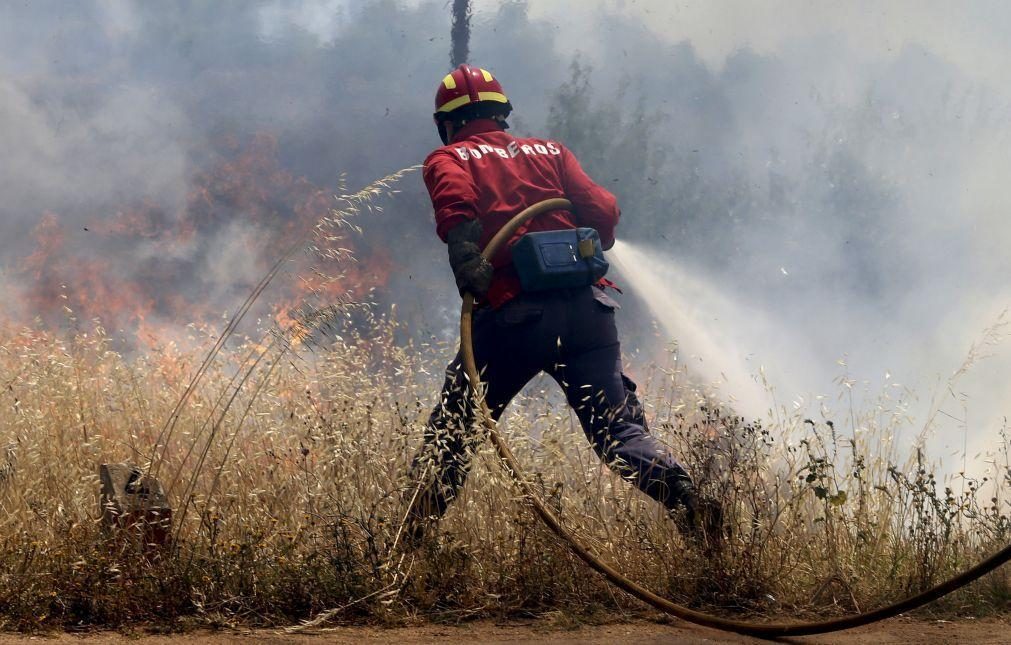20 concelhos de quatro distritos do País em perigo muito elevado de incêndio