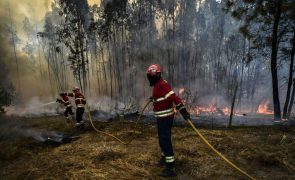 Proteção Civil alerta para risco máximo de incêndio no Algarve, Norte e Centro até quarta-feira