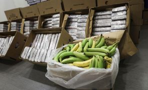Bananas escondiam mais de 4 toneladas de cocaína em Lisboa
