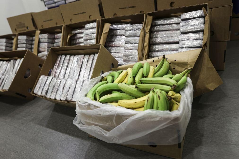 Bananas escondiam mais de 4 toneladas de cocaína em Lisboa