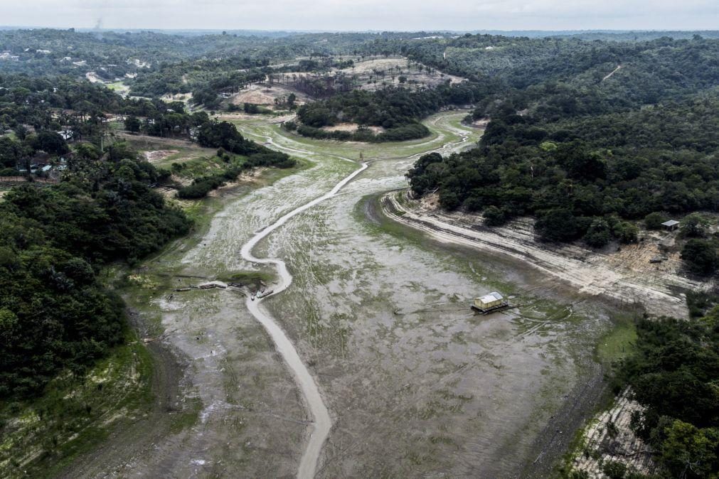 Florestas do sul e oeste da Amazónia brasileira correm risco de morrer com a seca
